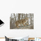 Bobcat in Winter Wall Mural