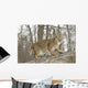 Bobcat in Winter Wall Mural