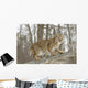 Bobcat in Winter Wall Mural