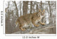 Bobcat in Winter Wall Mural