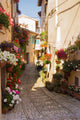 Alley with Flower Pots