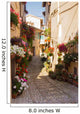 Alley with Flower Pots