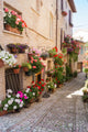Alley with Flower Vases