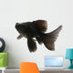 Black Goldfish White Wall Mural