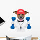 Fitness Dog