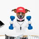 Fitness Dog