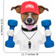 Fitness Dog