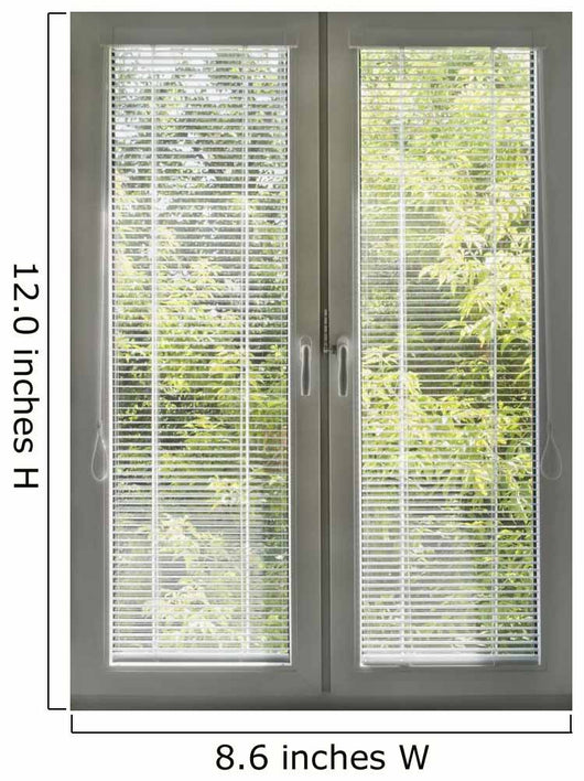 Closed Blinds Wall Mural