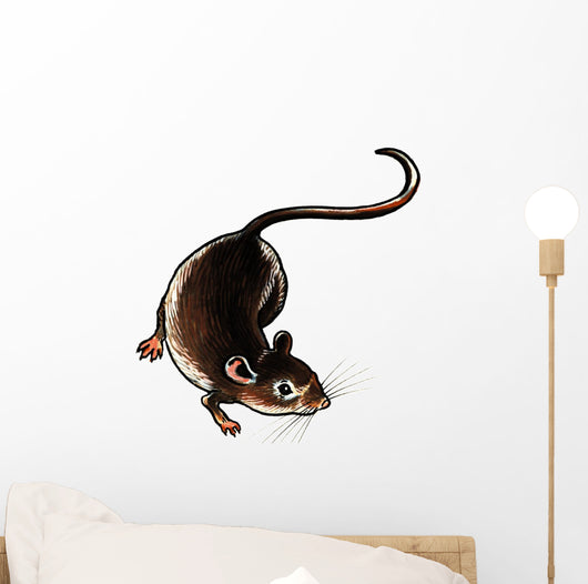 One Adult Rat Ground Wall Decal