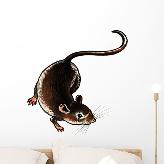 One Adult Rat on the Ground Wall Decal