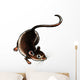 One Adult Rat on the Ground Wall Decal