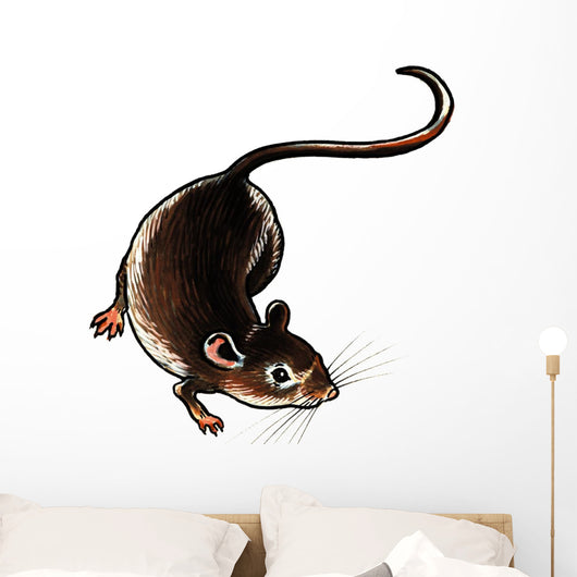 One Adult Rat on the Ground Wall Decal