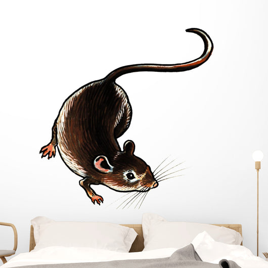 One Adult Rat on the Ground Wall Decal