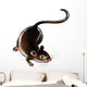One Adult Rat on the Ground Wall Decal
