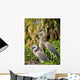 Three Amigos Wall Mural
