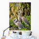 Three Amigos Wall Mural