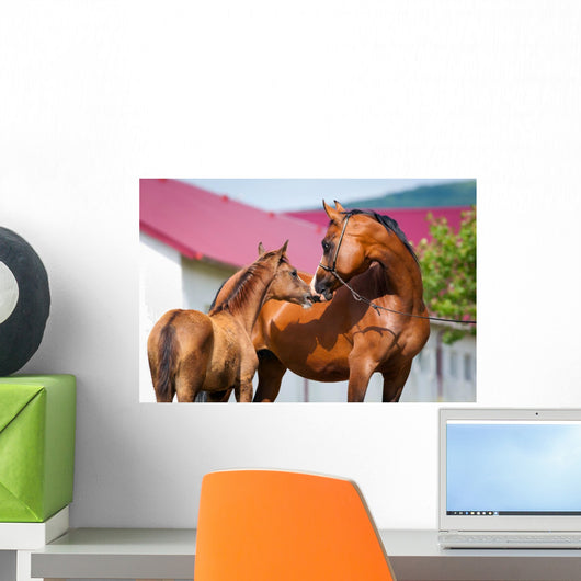 Mare and Foal Standing Wall Mural