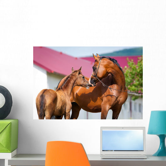 Mare and Foal Standing Wall Mural