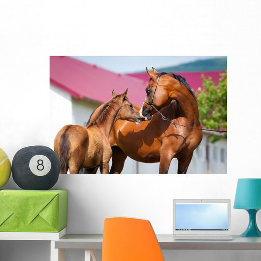 Mare and Foal Standing Wall Mural