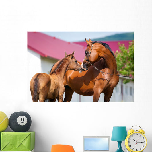 Mare and Foal Standing Wall Mural