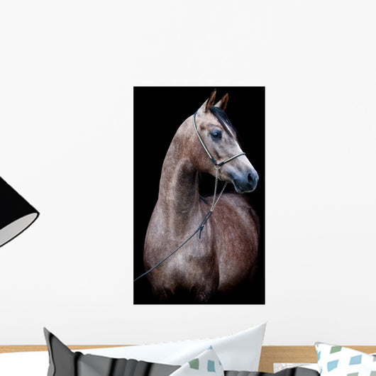 Gray Horse Head Black Wall Mural