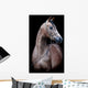 Gray Horse Head Black Wall Mural