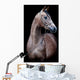 Gray Horse Head Black Wall Mural