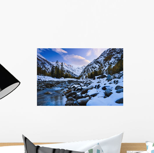 Valnontey torrent, Gran Paradiso National Park Wall Mural