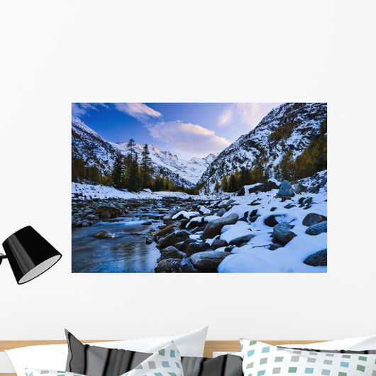 Valnontey torrent, Gran Paradiso National Park Wall Mural