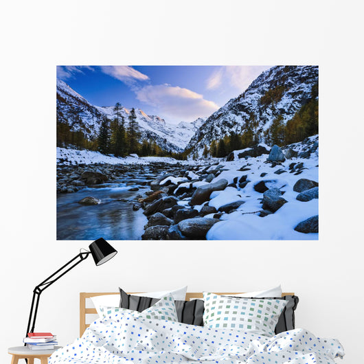 Valnontey torrent, Gran Paradiso National Park Wall Mural