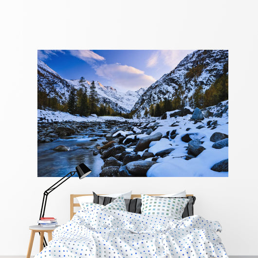 Valnontey torrent, Gran Paradiso National Park Wall Mural