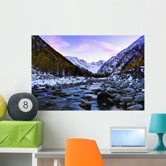 Valnontey torrent, Gran Paradiso National Park Wall Mural