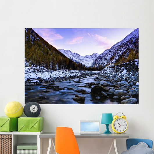 Valnontey torrent, Gran Paradiso National Park Wall Mural