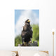 Golden Eagle, Assiniboine Park Zoo Wall Mural