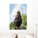 Golden Eagle, Assiniboine Park Zoo Wall Mural
