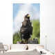 Golden Eagle, Assiniboine Park Zoo Wall Mural