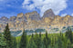 Castle Mountain and coniferous trees, Banff National Park Wall Mural