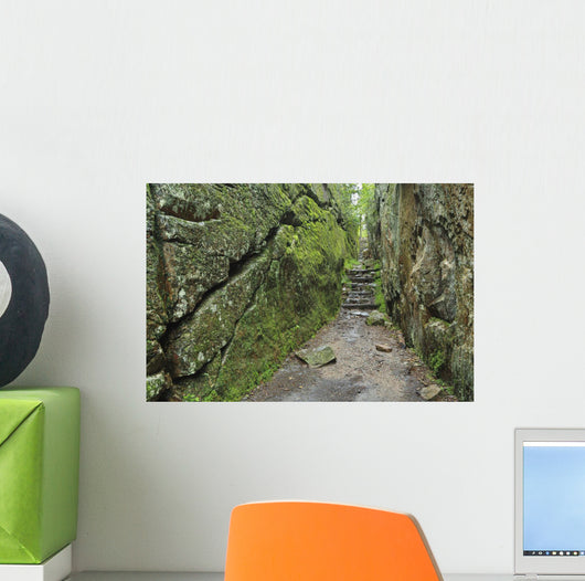 A rock face trail leading to Agawa Bay, Lake Superior Provincial Park Wall Mural