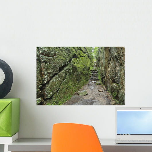 A rock face trail leading to Agawa Bay, Lake Superior Provincial Park Wall Mural