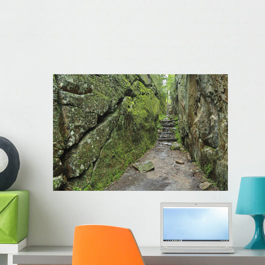 A rock face trail leading to Agawa Bay, Lake Superior Provincial Park Wall Mural