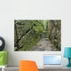 A rock face trail leading to Agawa Bay, Lake Superior Provincial Park Wall Mural