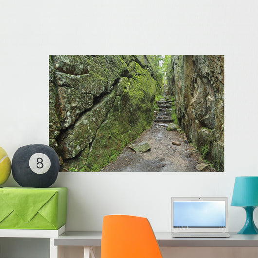 A rock face trail leading to Agawa Bay, Lake Superior Provincial Park Wall Mural
