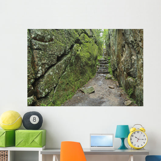 A rock face trail leading to Agawa Bay, Lake Superior Provincial Park Wall Mural