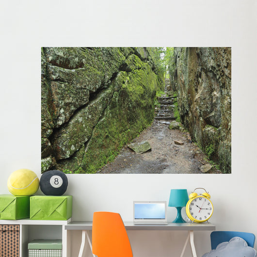 A rock face trail leading to Agawa Bay, Lake Superior Provincial Park Wall Mural