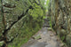 A rock face trail leading to Agawa Bay, Lake Superior Provincial Park Wall Mural