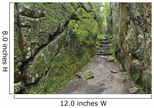 A rock face trail leading to Agawa Bay, Lake Superior Provincial Park Wall Mural