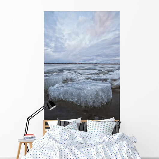 Long exposure of the ice flowing Wall Mural