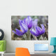 Crocus Wall Mural