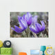 Crocus Wall Mural