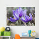 Crocus Wall Mural